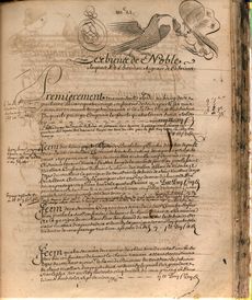 Archives Gard Nîmes compoix cadastre dessin calligraphie