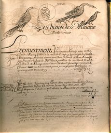 Archives Gard Nîmes compoix cadastre dessin calligraphie