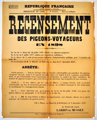 Archives, Gard, confinement, pigeon, internet